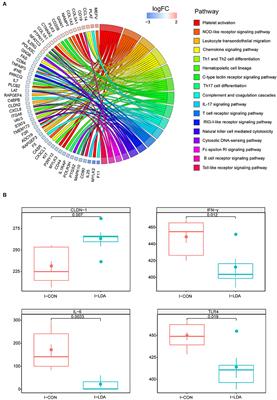 Effects of Low-Dose Antibiotics on Gut Immunity and Antibiotic Resistomes in Weaned Piglets